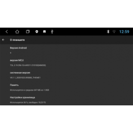 Parafar для 2 DIN универсальная магнитола 9 дюймов на Android 9.0 (PFLite-Low)
